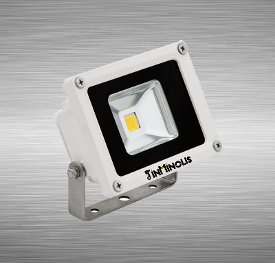 LED Flood Light 10W