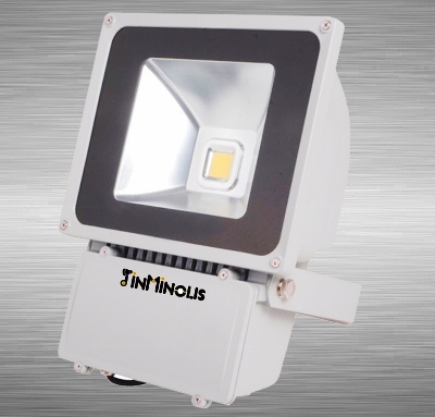 LED Flood Light 80W
