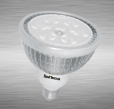 PAR38 R 12W