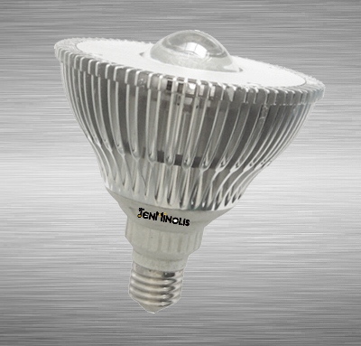 PAR38 COB 20W