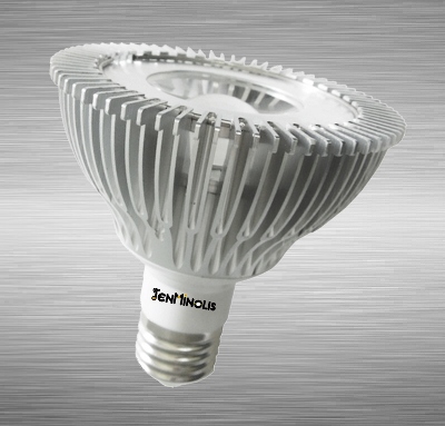 PAR30 COB 10W